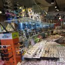 모노옵티컬안경 이미지