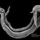 다온약품 이미지