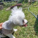 소리야네집 이미지