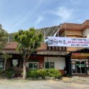 금성애견 네이버블로그