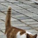 대부고등학교 이미지