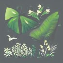 여주대학교 이미지