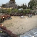 호도귤정원 이미지