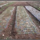 장원환경 이미지