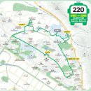 사파동220 이미지