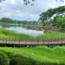 시민의숲산책로1-11 이미지