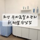 향남중앙약국 | 가을철 두피관리 탈모관리 H.리셀 향남점 솔직후기
