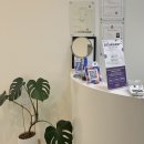 영현축산 | 강릉 교동택지 I 강릉 속눈썹펌 라인브로우 솔직후기