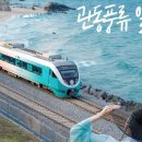 "5월부터 시작하는 기차여행"... 바다 열차타고 풍경감상 즐기는 여행지 이미지