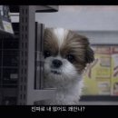 꽁술 | 오랜만이네 ?