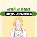 라엘 치과의원 | 경상북도 경산시 압량읍 교정치과 총정리