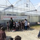 농촌테마공원3 이미지