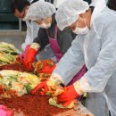 중앙관세분석소 이미지