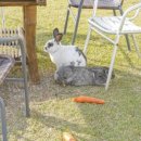 멍스토리 이미지