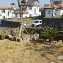 두리조경 이미지