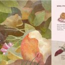 안녕달팽이 이미지