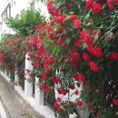 영진궁전 이미지