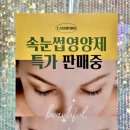 래쉬핑