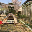 은행나무 펜션 이미지