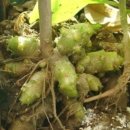 삼칠슈퍼 이미지