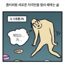 고야여관 | 구라같다 이 모든 게..
