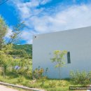 햄릿과 올리브 이미지