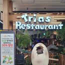 수원-1716 | 수원 타임빌라스 공룡덕후들 환장할 트라이아스, 아쉬운 솔직 후기