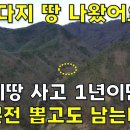 본전 이미지