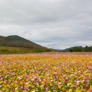 정암나루가든 이미지