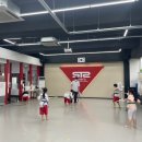 STS한국체대태권도 네이버블로그