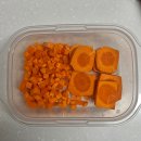 방달팽이 연구소 이미지