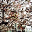 신천리마을회관 이미지