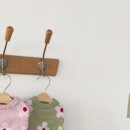 쁘띠 애견 이미지