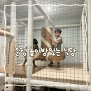 치킨매니아 파주운정점 | 운정 놀이방있는 식당 치킨매니아 솔직 후기