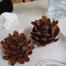 동백트리플에이치과의원 | 뭔가 정신이 없다..