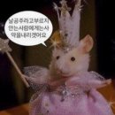 초이스디자인 | 광주 웨딩, 드레스초이스후기 [정우 플래너]