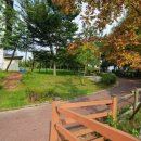 청라대로(공촌3교) 이미지