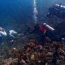 제주 현대미술관 이미지