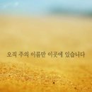 보소태양광 이미지