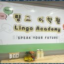 시지근처어학원 링고어학원에서의 특별한 언어 여정 후기