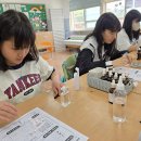 임곡초교 이미지