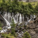 오늘도삼겹살 이미지