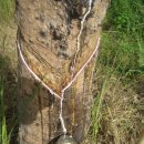 우지농장 이미지