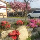 삽시도팬션나라 이미지