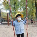 황금산 유아숲체험원 이미지