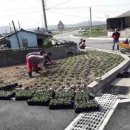 개곡1리 이미지