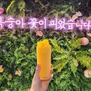 방추리