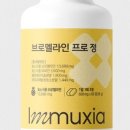 뮤시아 네이버블로그