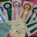 워킹포드림 이미지