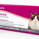 정샘동물병원 이미지